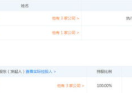 文章个人资产多少亿,财富传奇的崛起之路