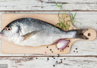 娱乐吃瓜鱼,揭秘娱乐圈那些不为人知的幕后故事