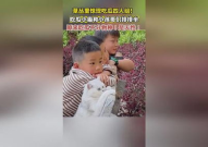 娱乐吃瓜四人组,揭秘娱乐圈背后的故事与笑料