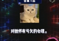 娱乐八卦吃瓜阵地,吃瓜阵地深度解析