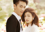 娱乐圈夫妇吃瓜微博,揭秘明星夫妻背后的甜蜜与争议