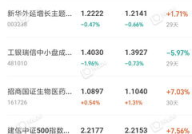 基金320005,诺安价值增长混合型证券投资基金（320005）投资策略与业绩分析
