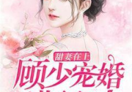 甜妻在上,甜蜜逆袭，爱情至上
