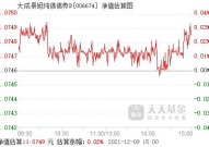 大成债券,稳健投资之道，解析债券型基金的投资策略与风险收益特征”