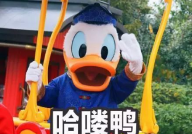 吃瓜娱乐鸭,揭秘娱乐圈幕后故事