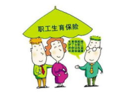 生育保险条例,保障女职工权益，助力家庭和谐