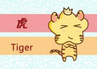 1986年属什么生肖,揭秘生肖虎的命运与性格特点”